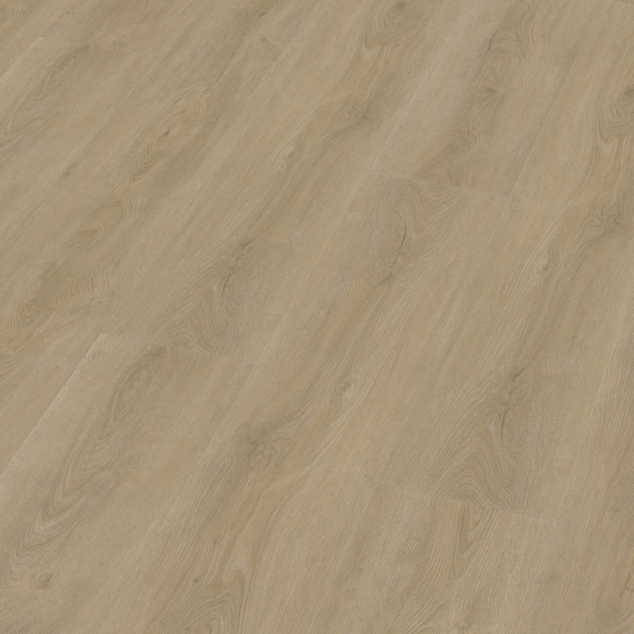 Robusto Click SRC Beige