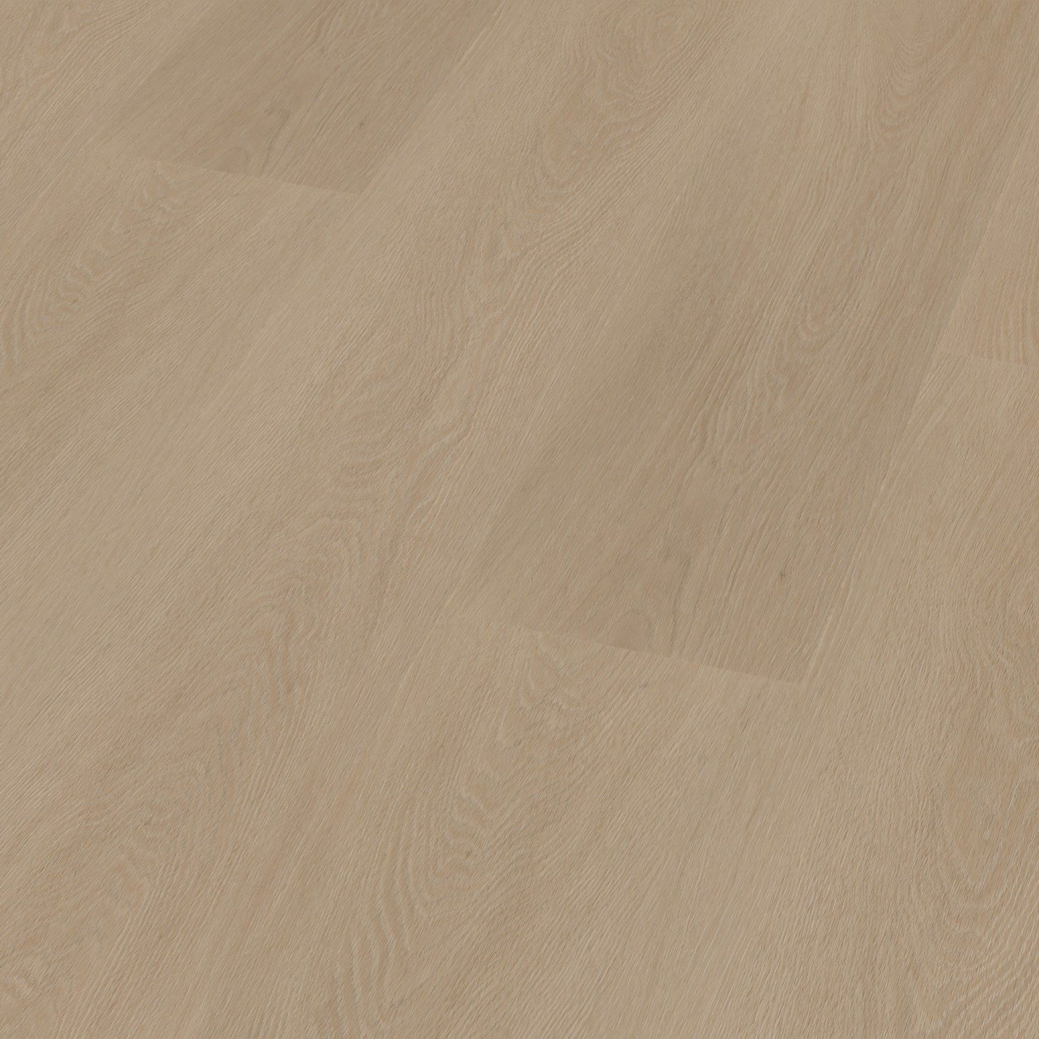 Estino Dryback Smoky