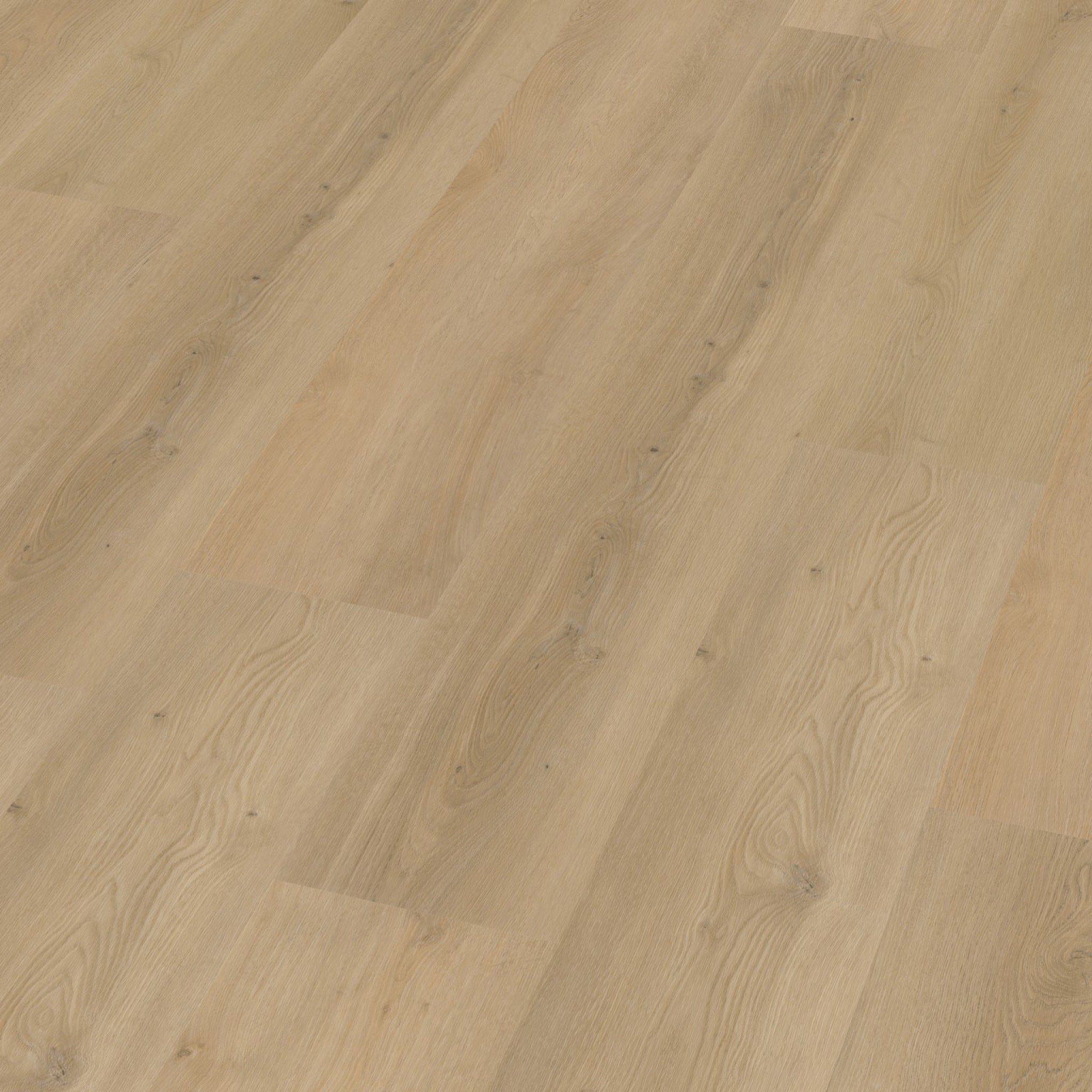 Espero Dryback Beige