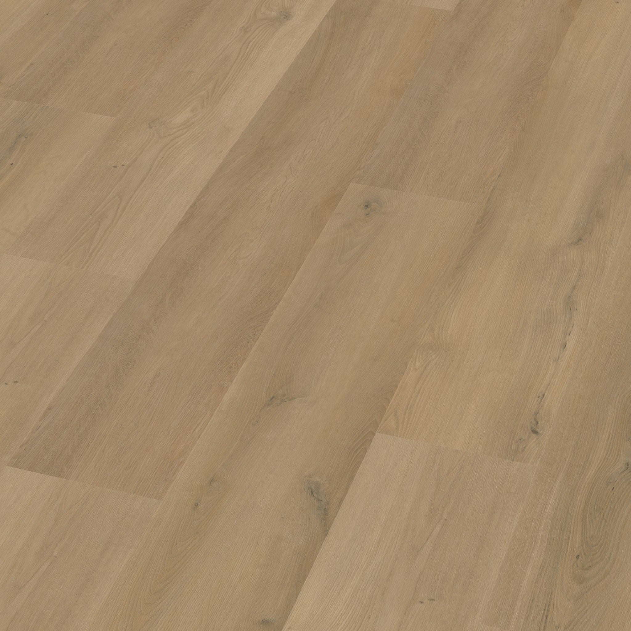 Espero Dryback Warm Oak