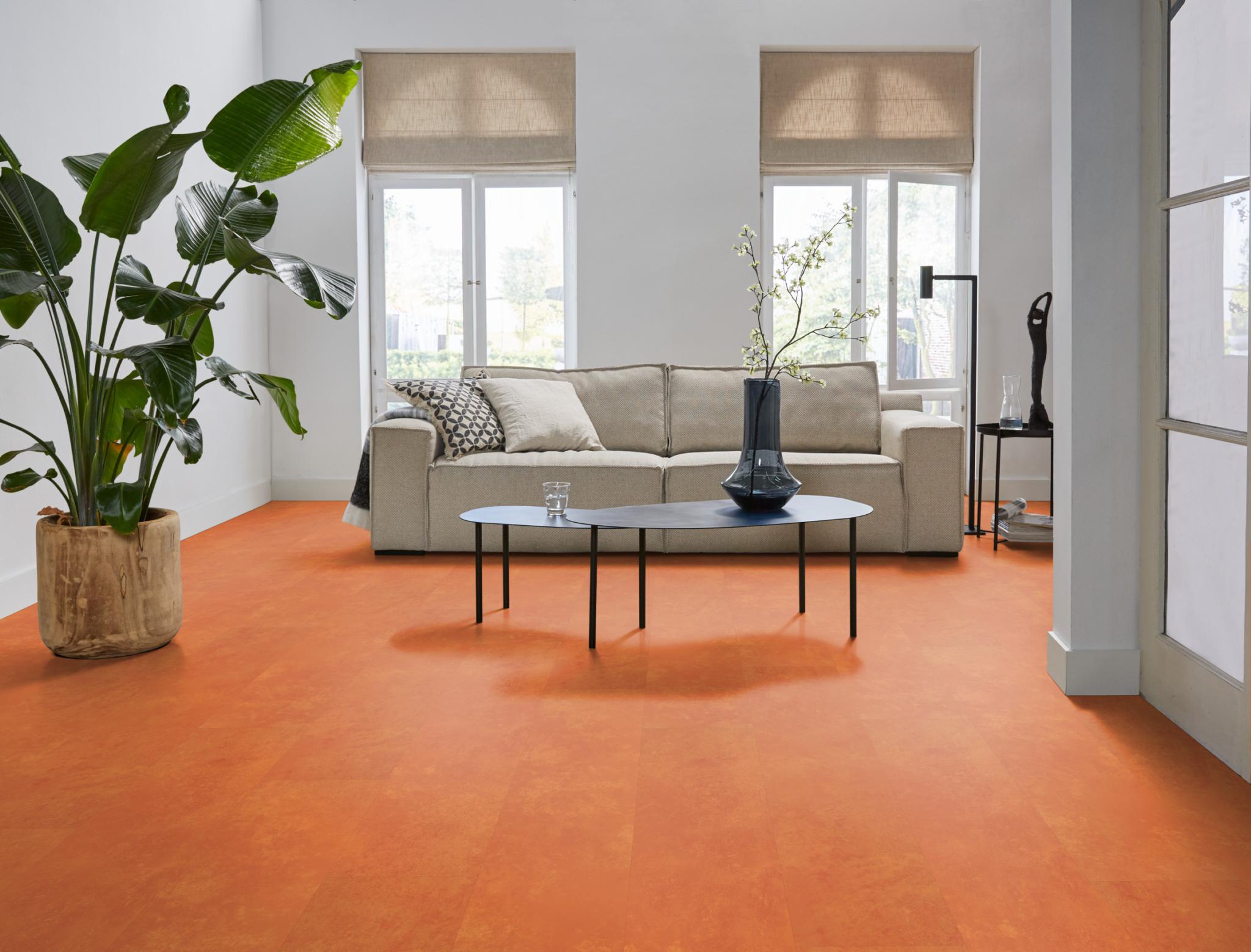 Viretto Dryback Orange