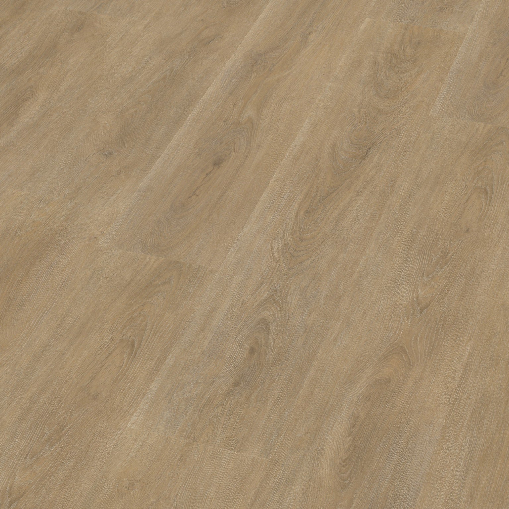 Robusto Dryback Natural Oak