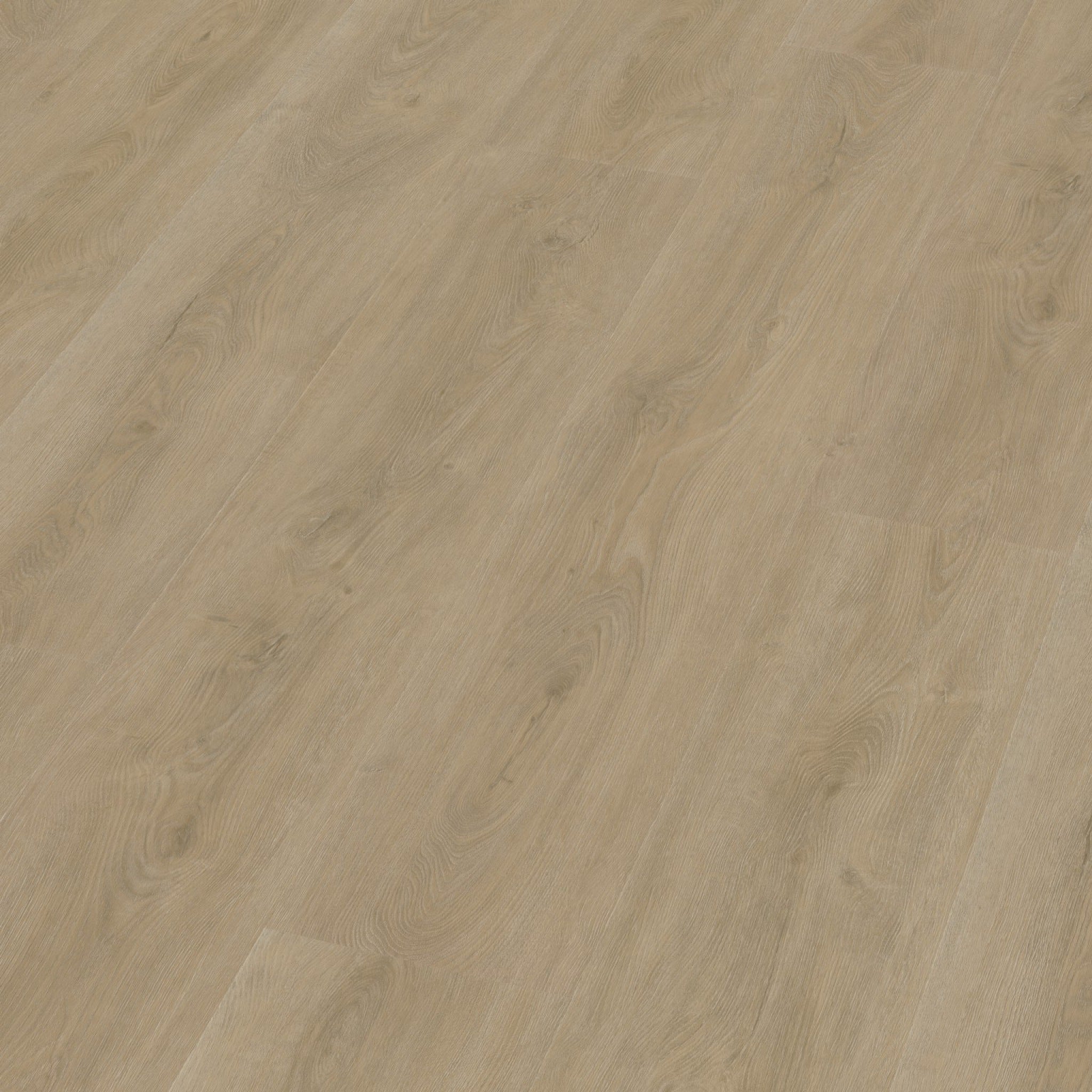Robusto Dryback Beige