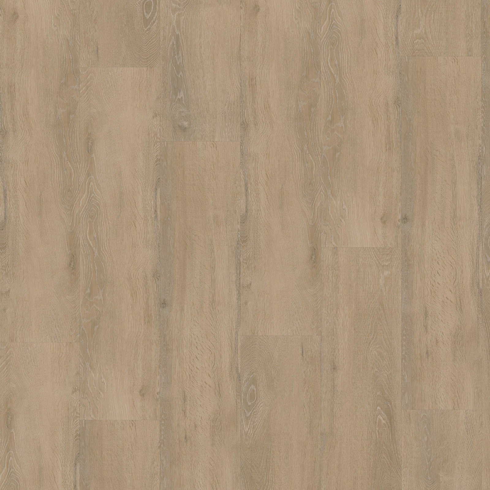 Eiken 8360 Dryback