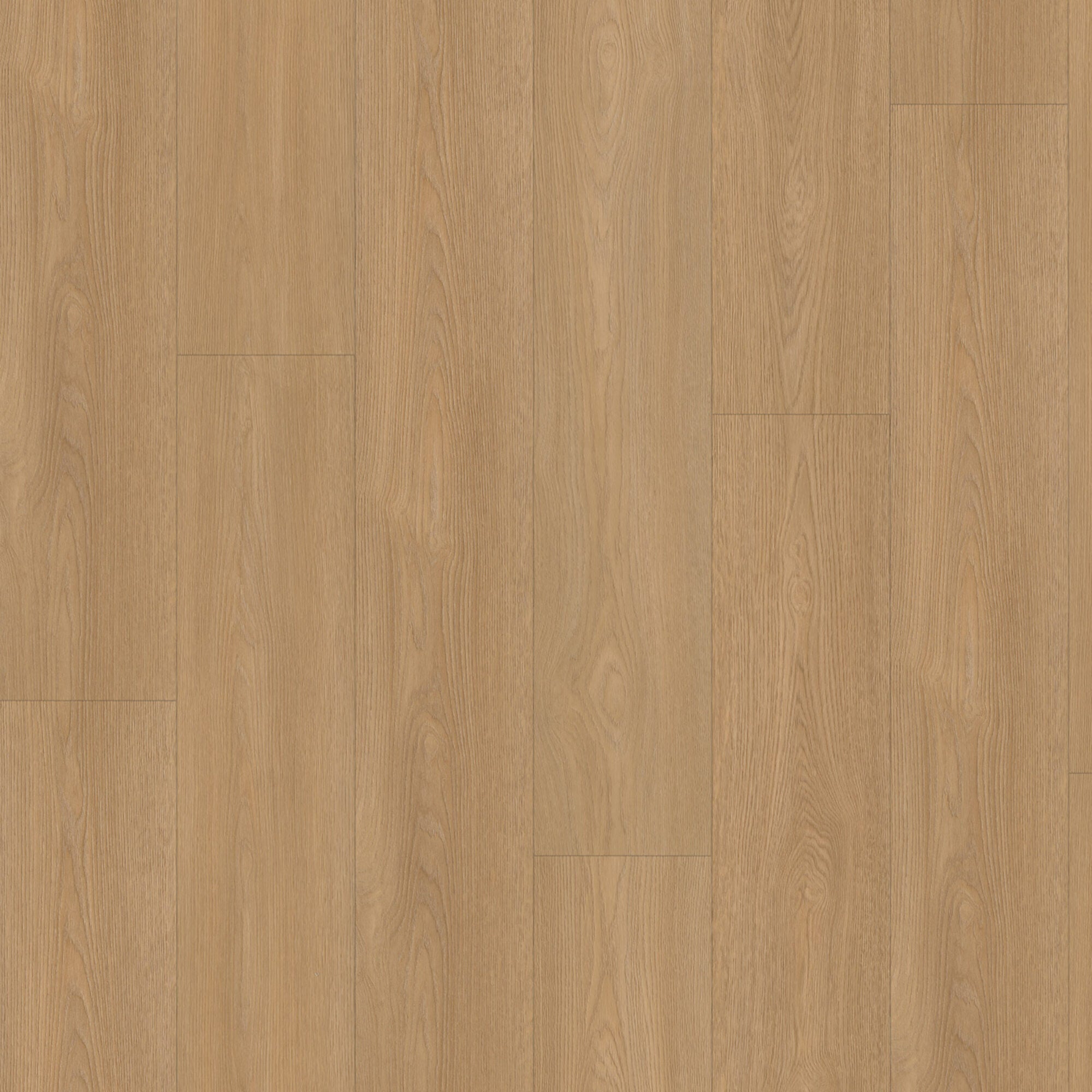 Eiken 8545 Click