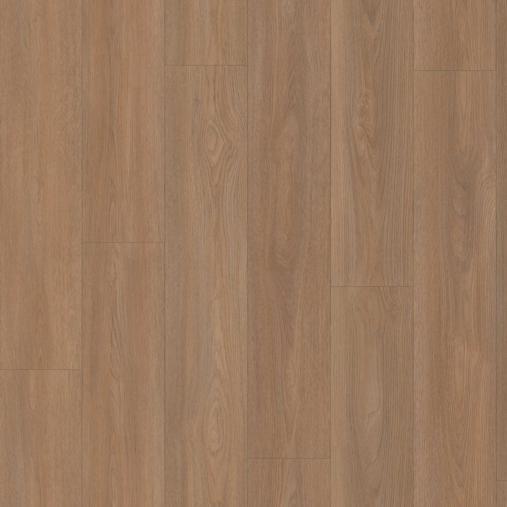 Eiken 8550 Click