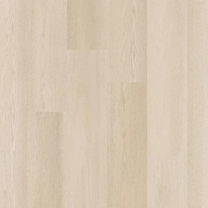 Therdex Premier C15081