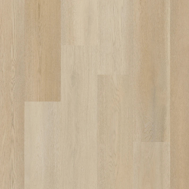 Therdex Premier C15082