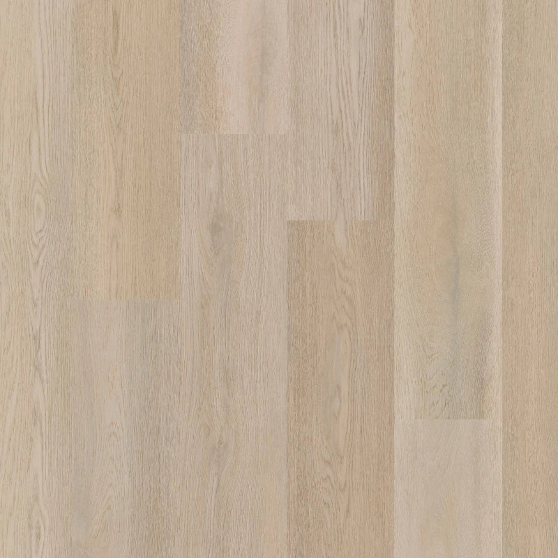 Therdex Premier C15083