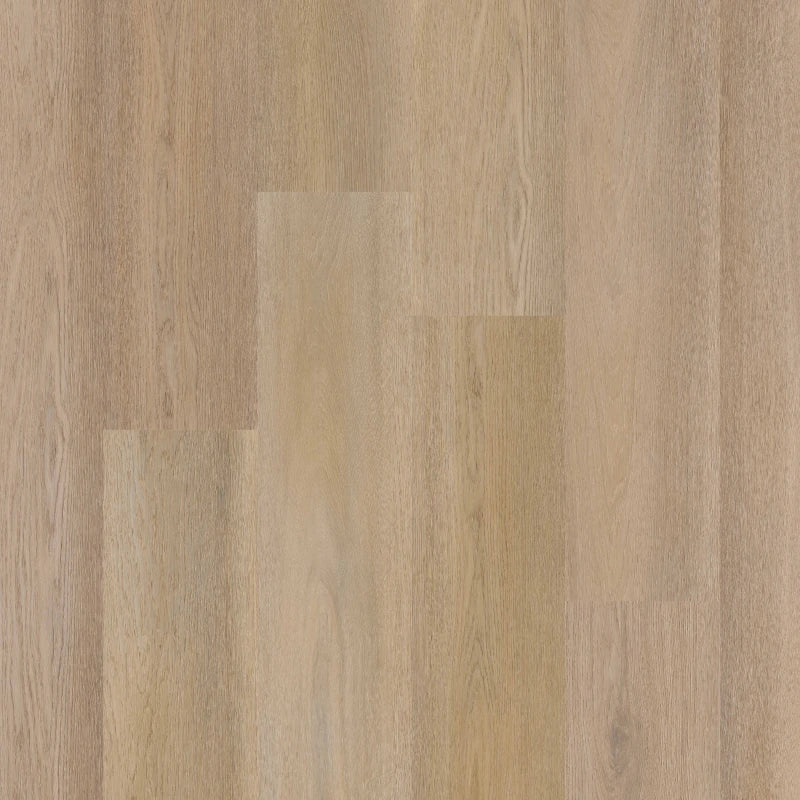 Therdex Premier C15084