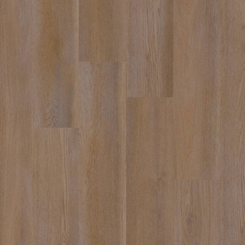 Therdex Premier C15085