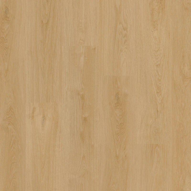 Therdex Classic C15121