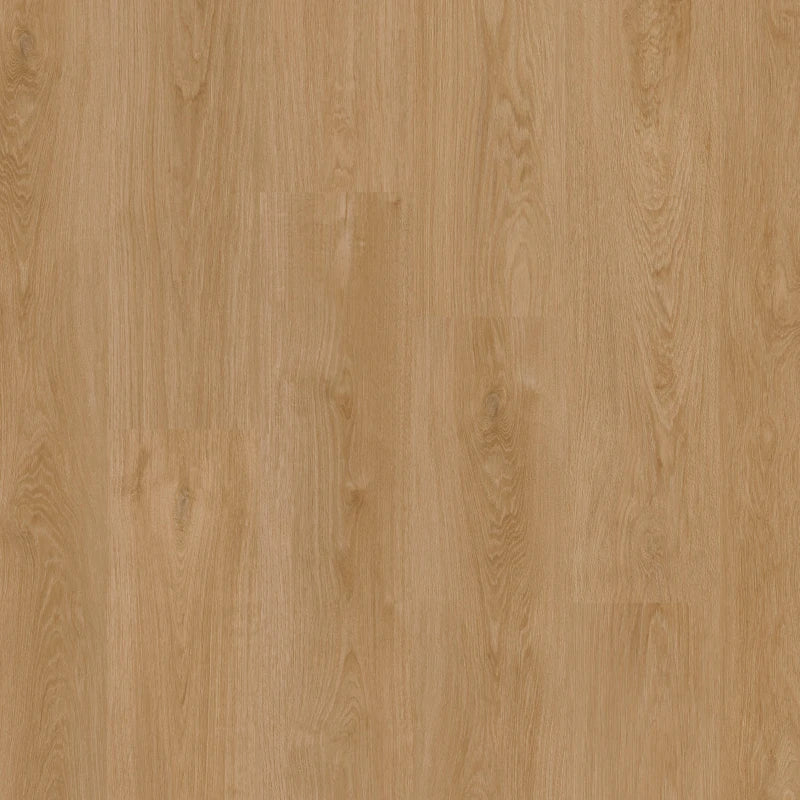 Therdex Classic C15122