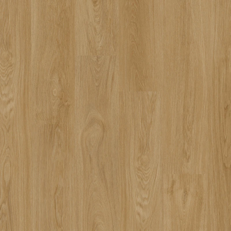 Therdex Classic 15123