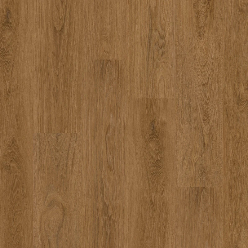 Therdex Classic C15125