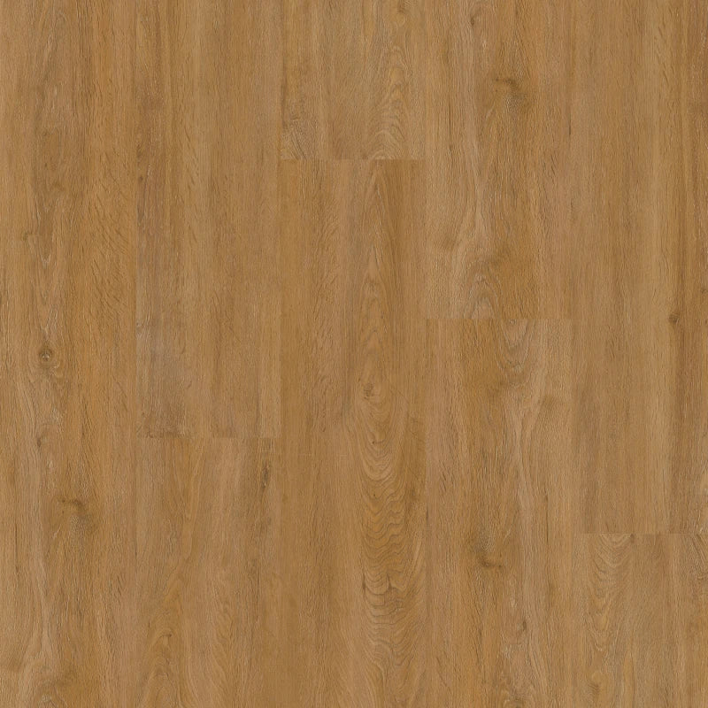 Therdex Basic 2040