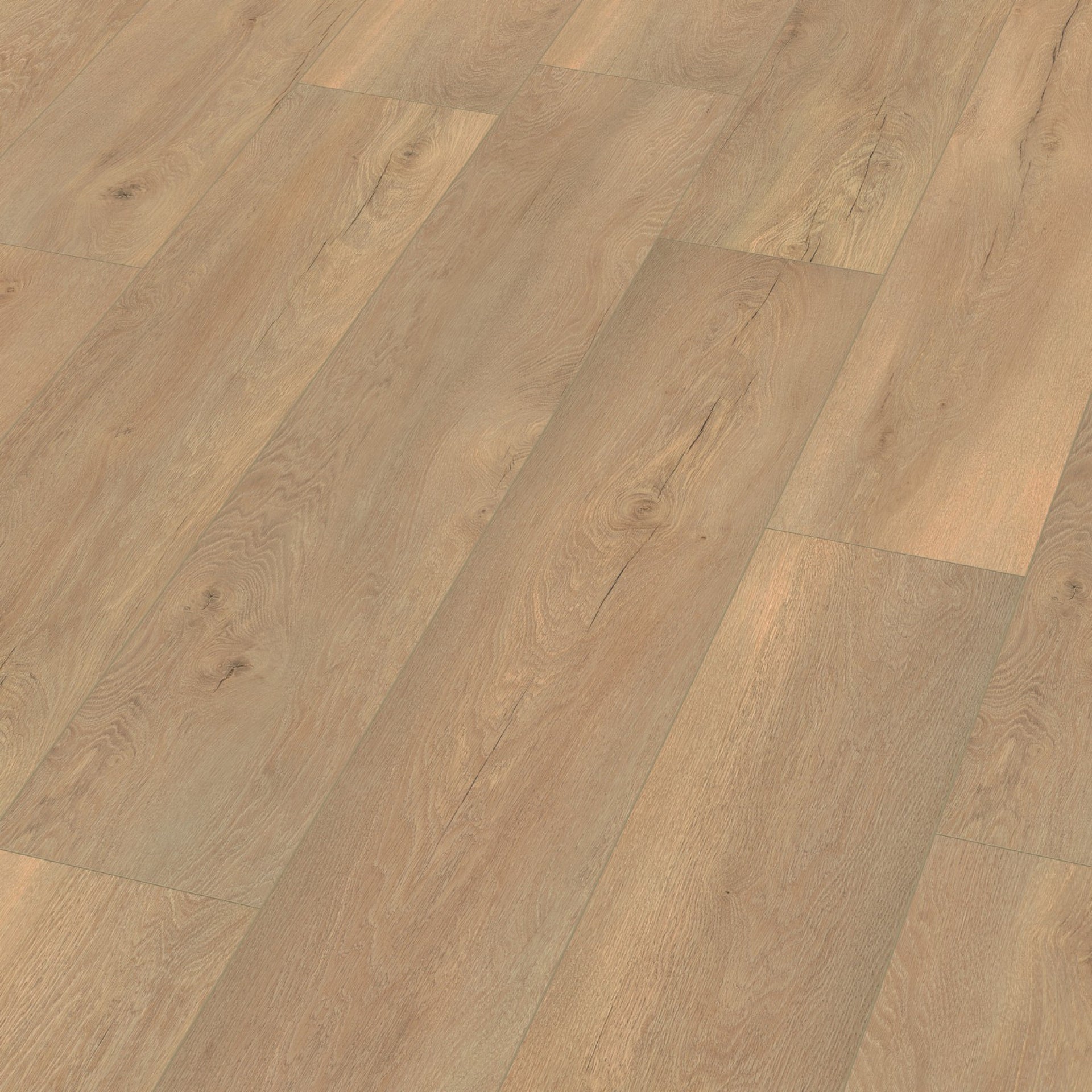 Saarland Beige Eiken