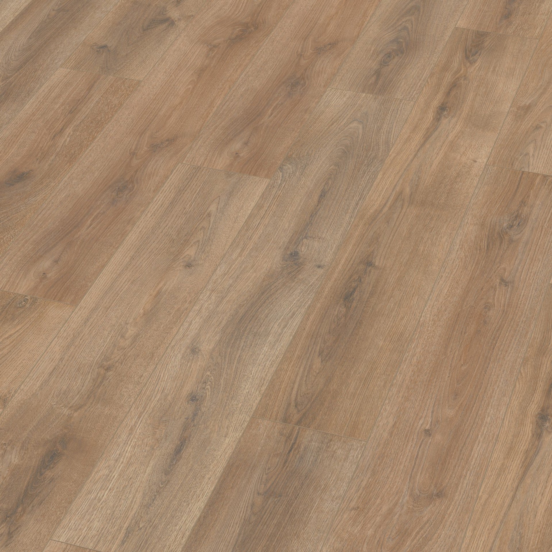 Sunny Oak Natuur Eiken