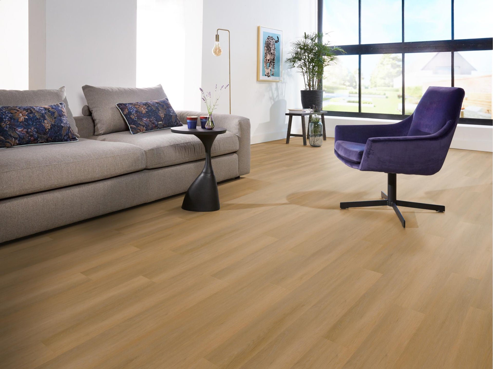 Sentima Dryback Dark Oak