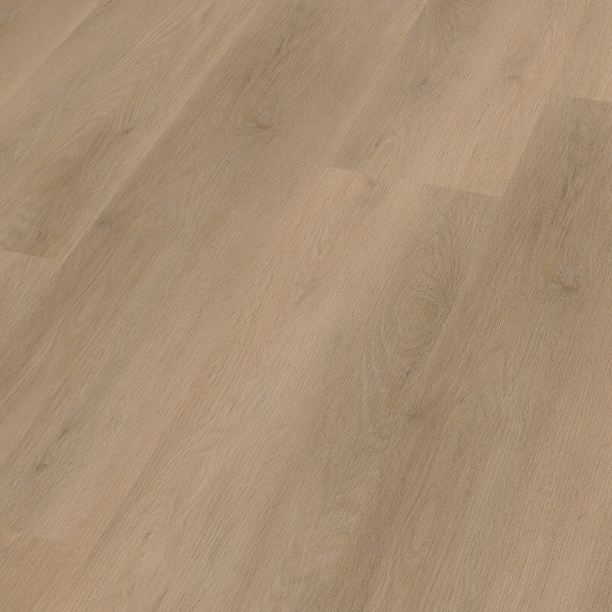 Sentima Dryback Beige