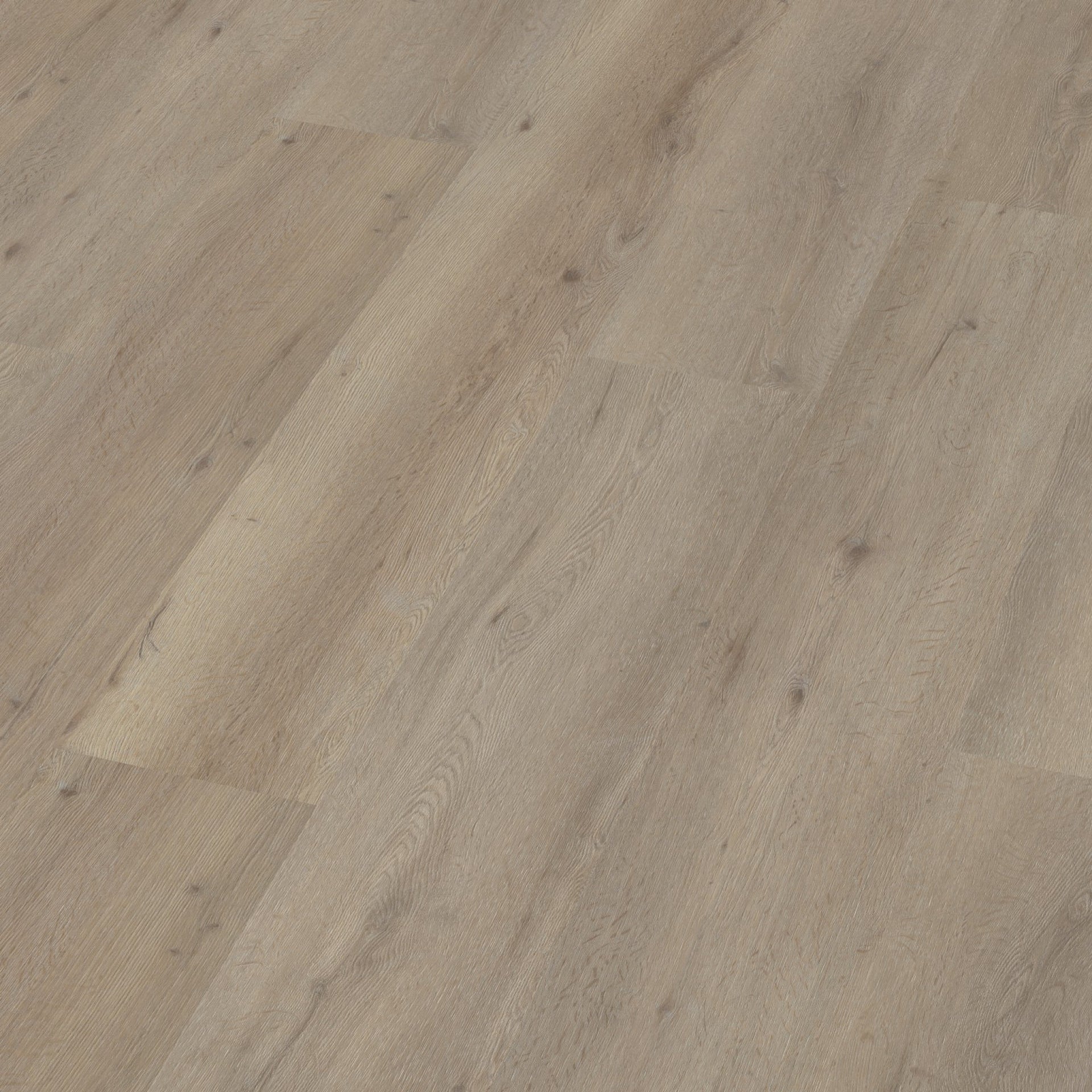 Vivero Click SRC Light Oak