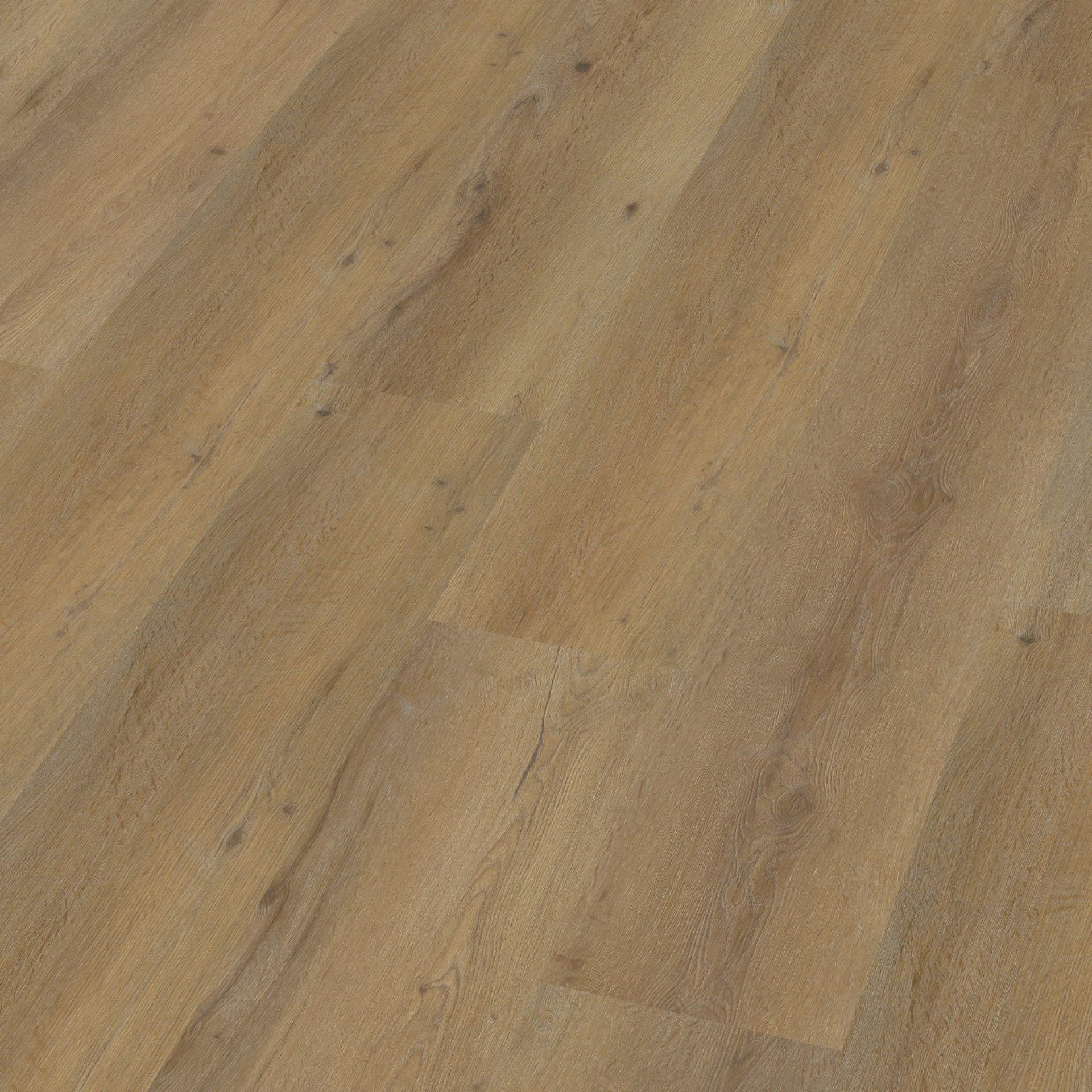 Vivero Dryback Dark Oak