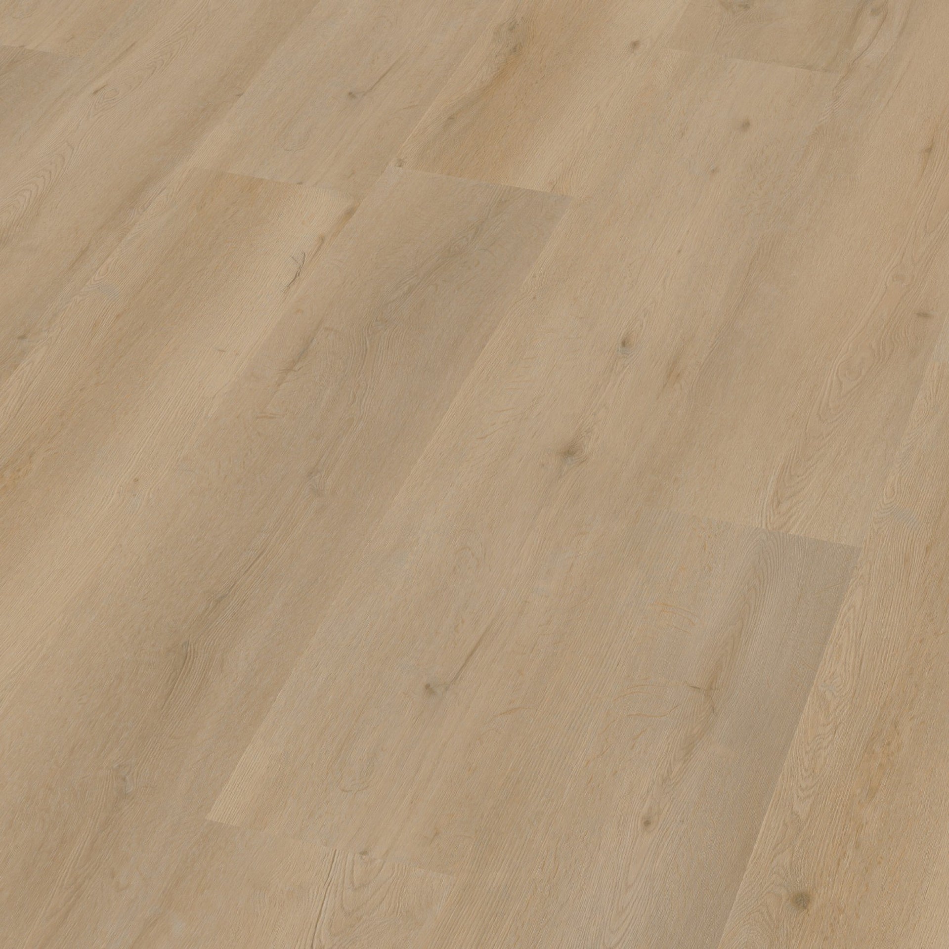 Vivero Dryback Beige