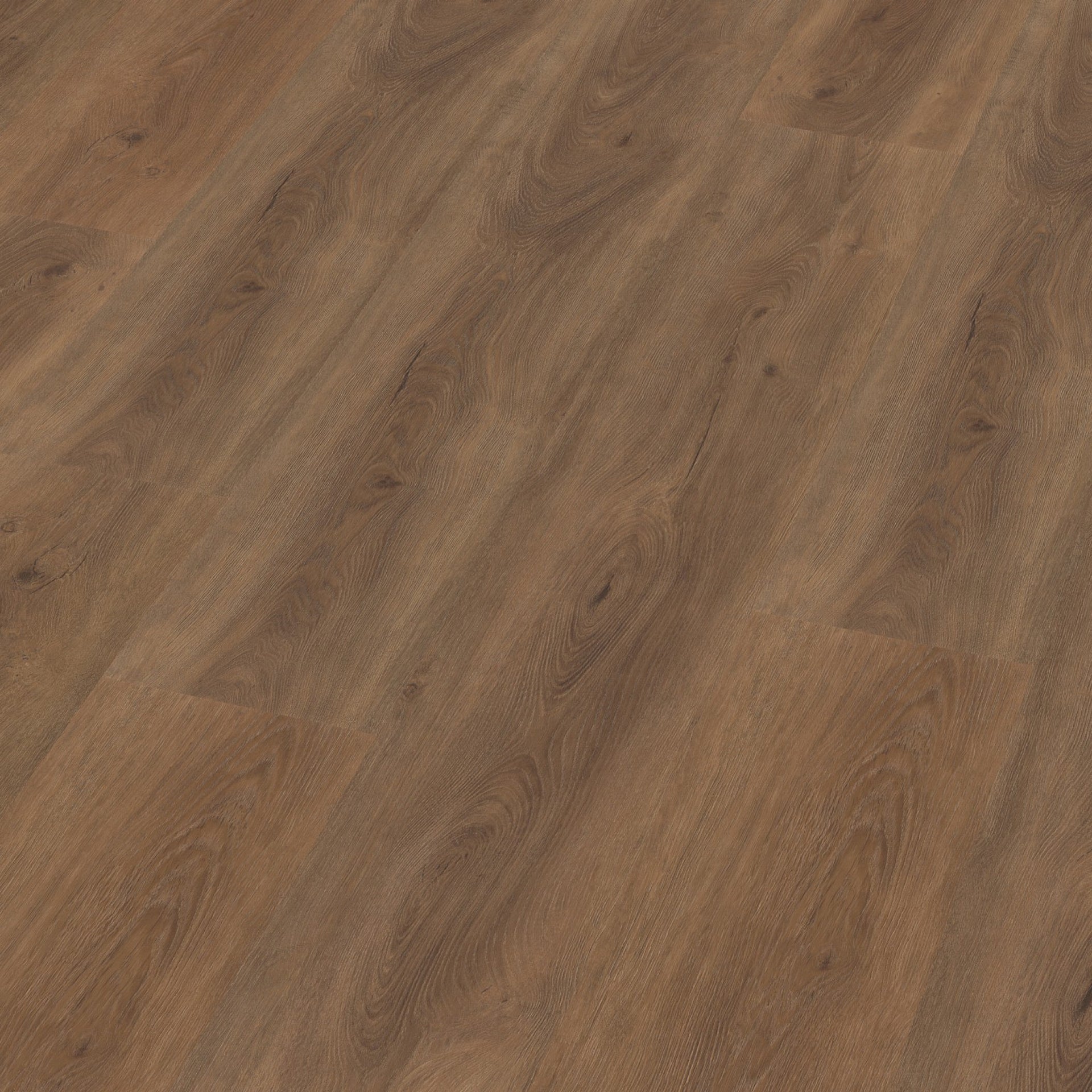 Robusto Click SRC Warm Brown