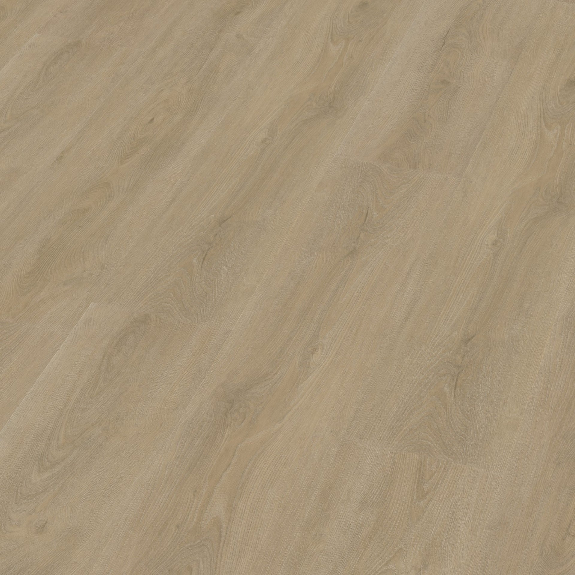 Robusto Click SRC Beige