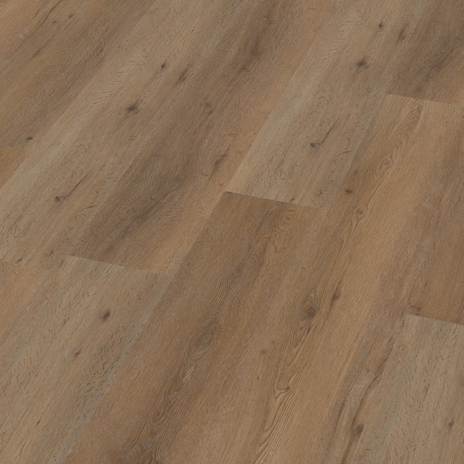 Vivero Click SRC Smoky