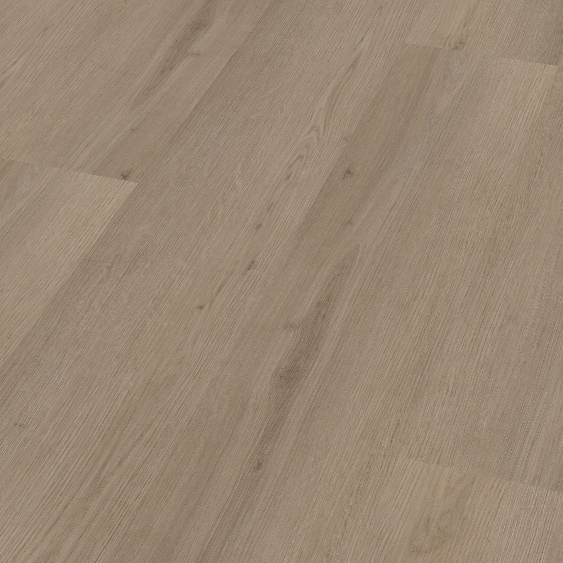 Venera Dryback Smoky