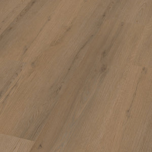 Dark Oak