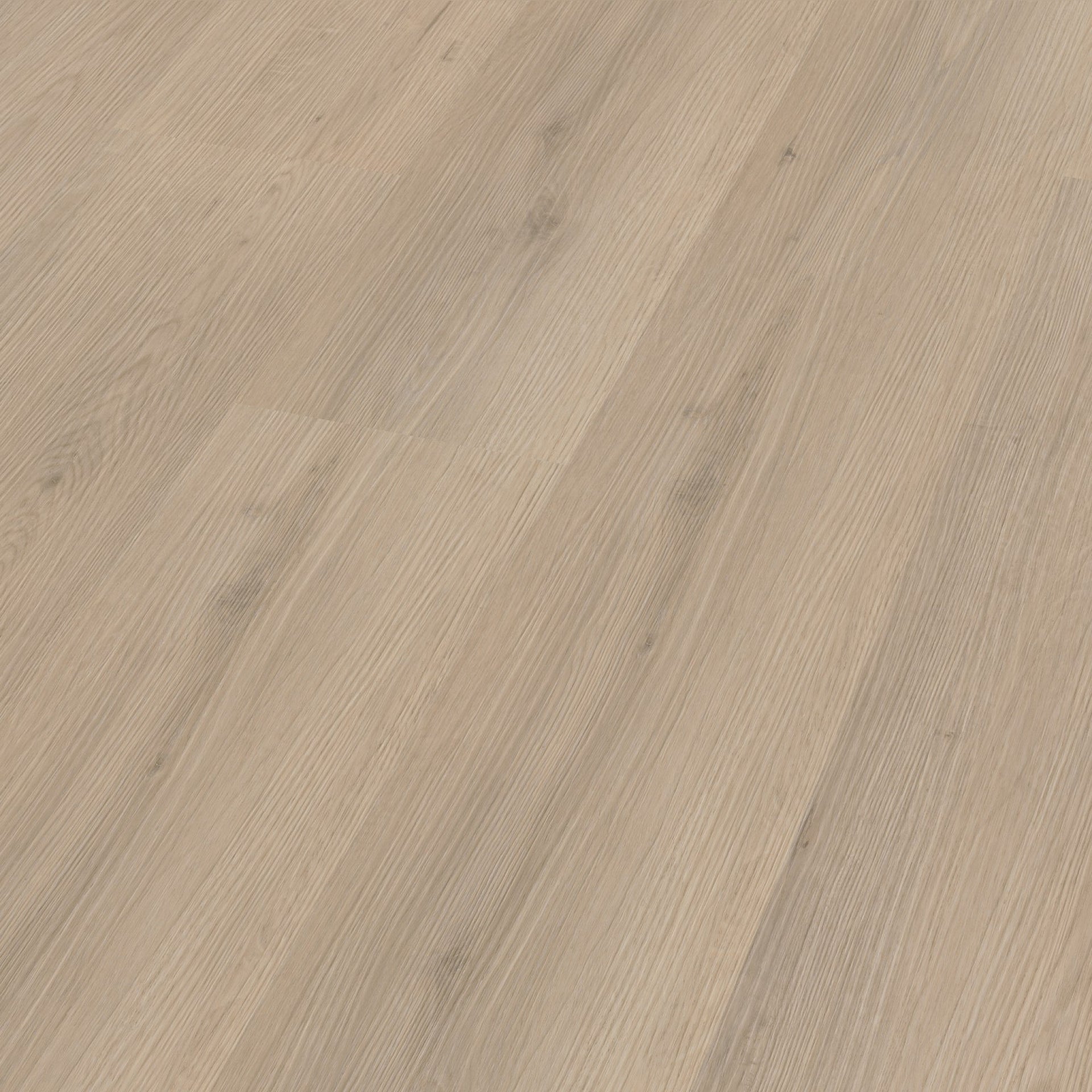 Venera Dryback Beige