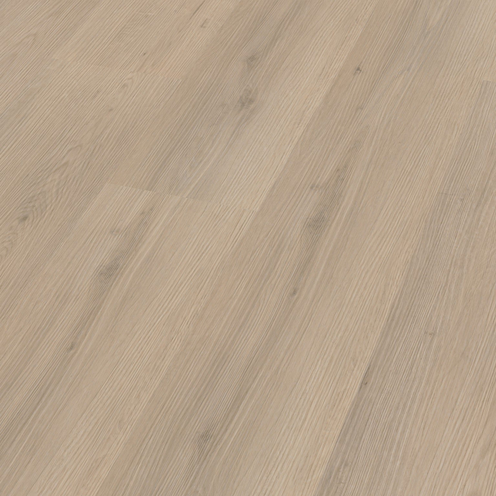 Venera Dryback Beige