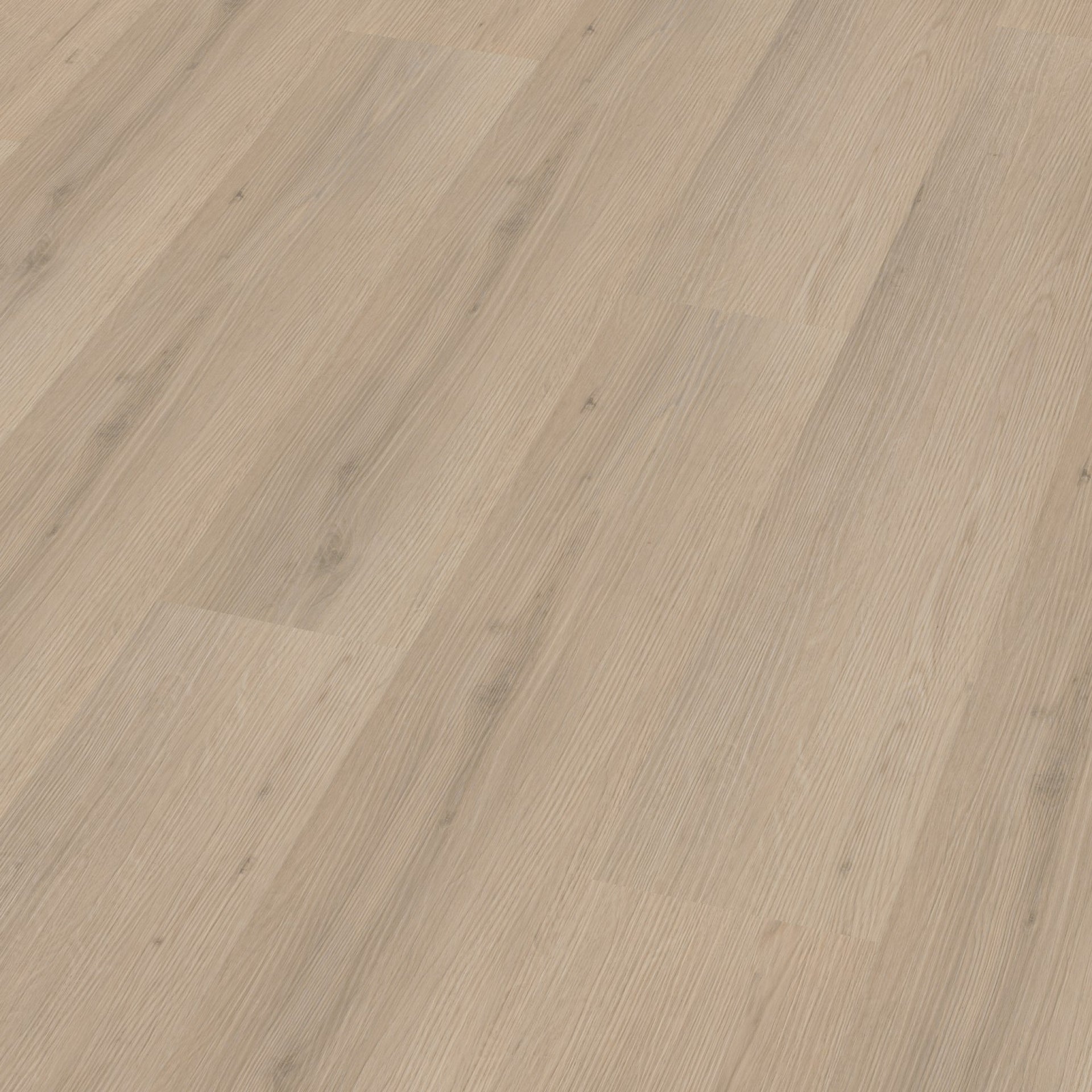 Venera Click Beige