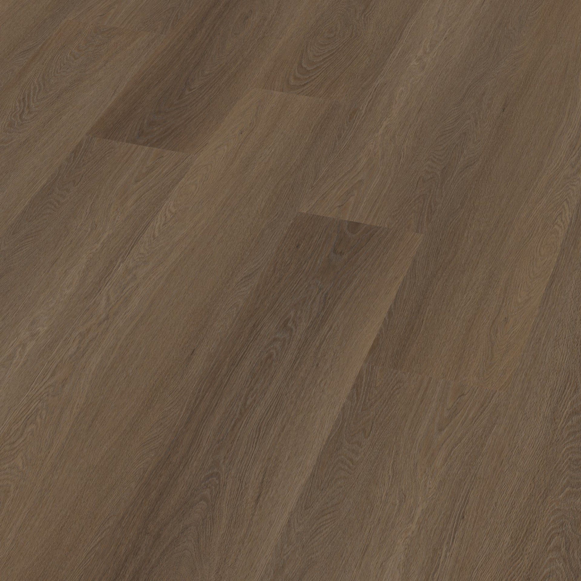 Estino Dryback Brown