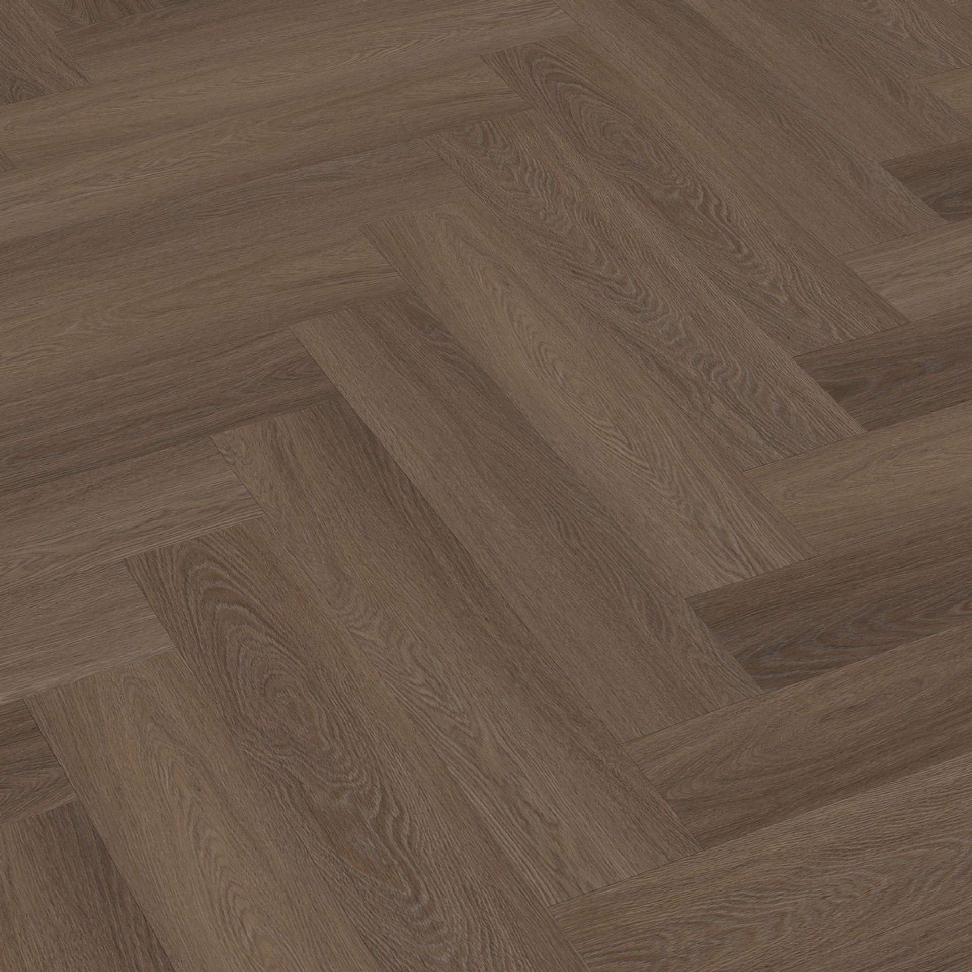 Spigato Estino Visgraat Dryback Brown