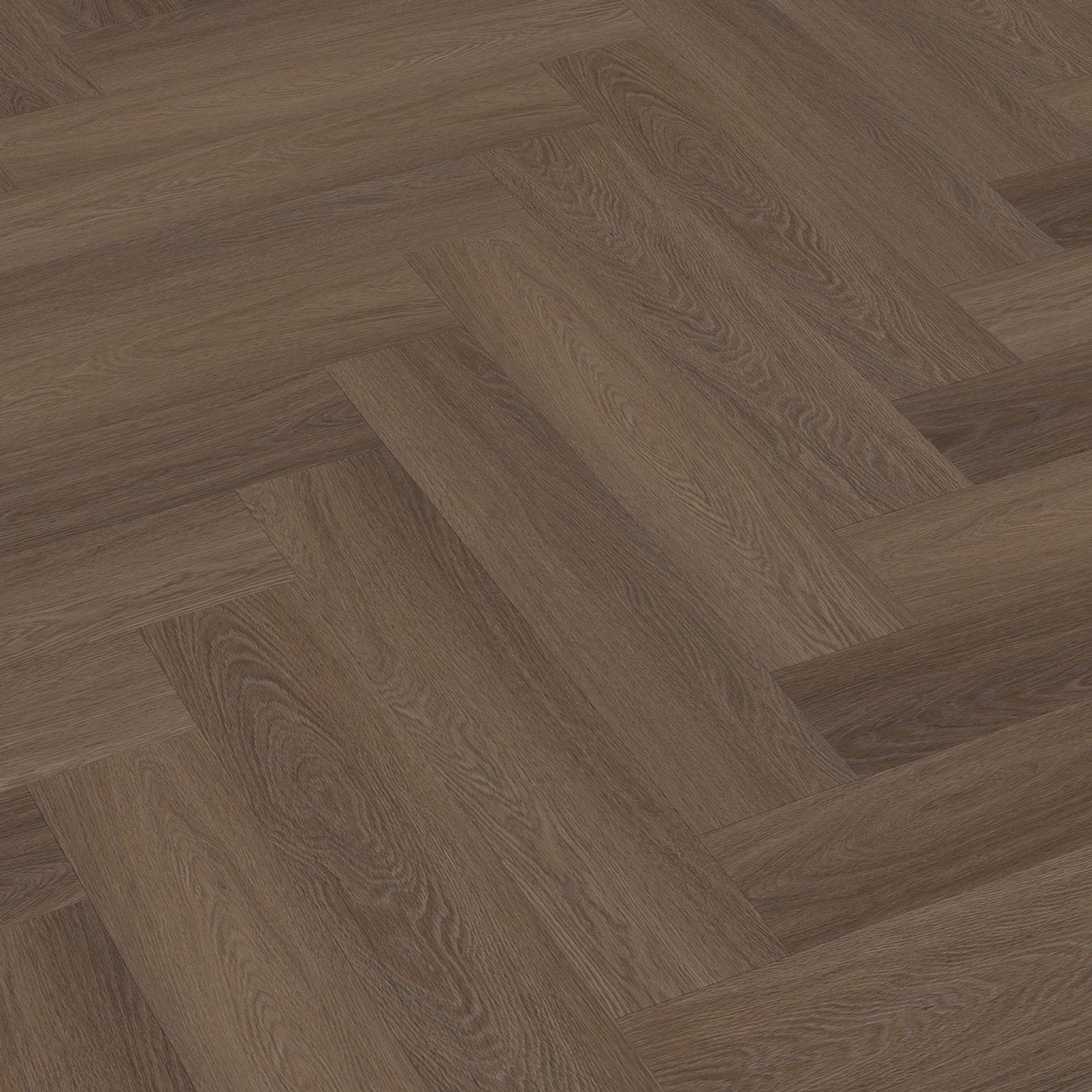 Spigato Estino Visgraat Dryback Brown