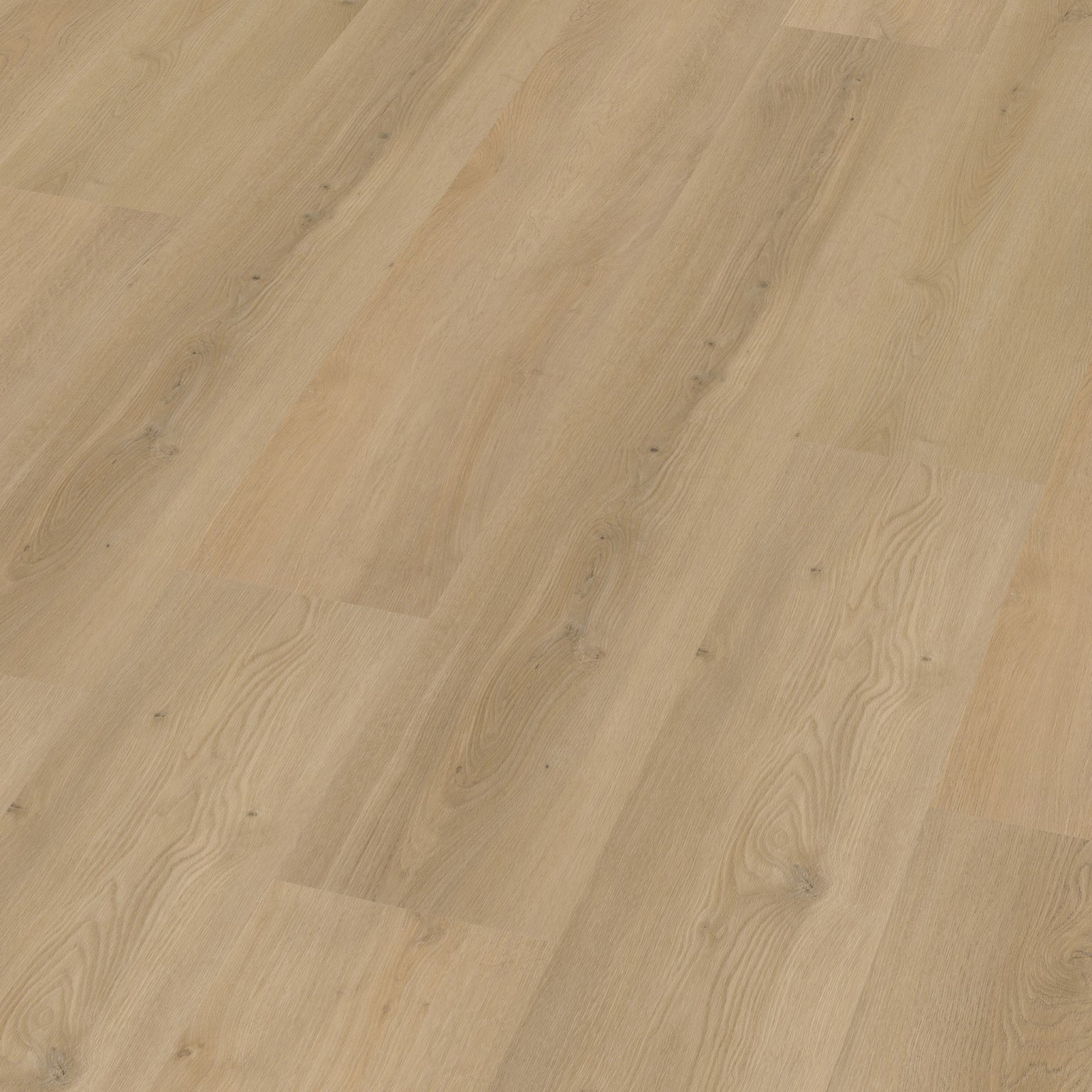 Espero Dryback Beige