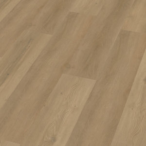 Warm Oak