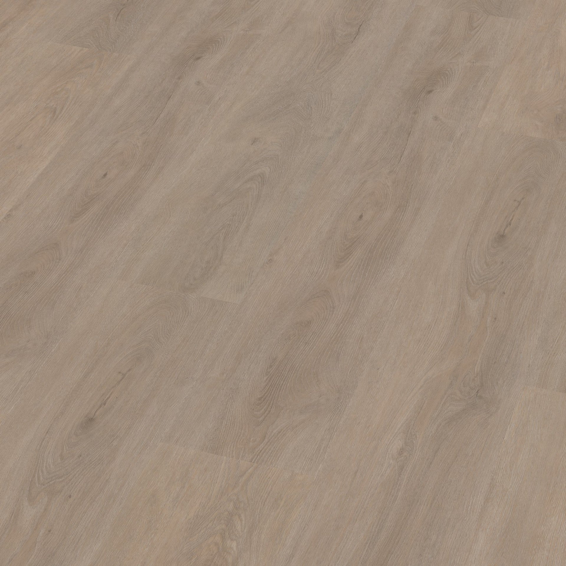 Robusto Dryback Light Oak