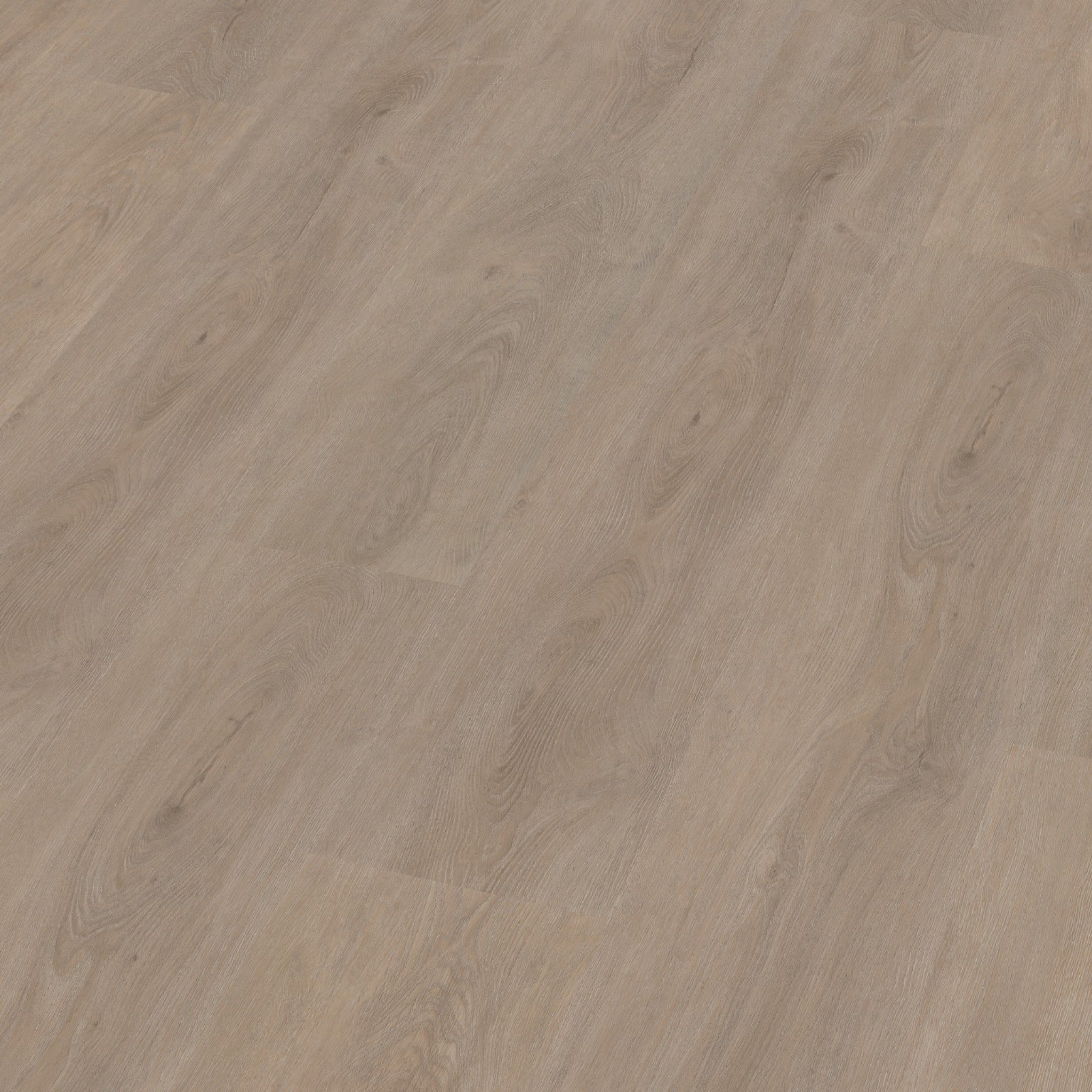 Robusto Dryback Light Oak