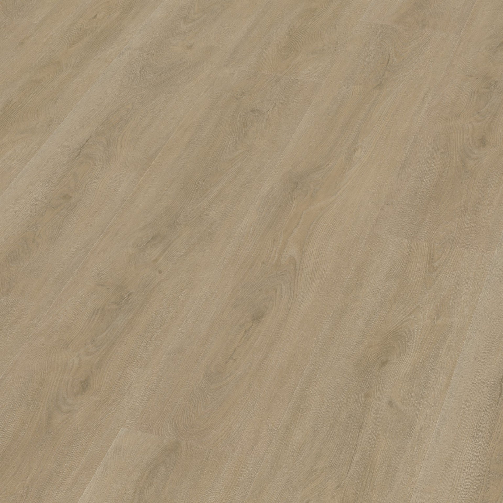 Robusto Dryback Beige