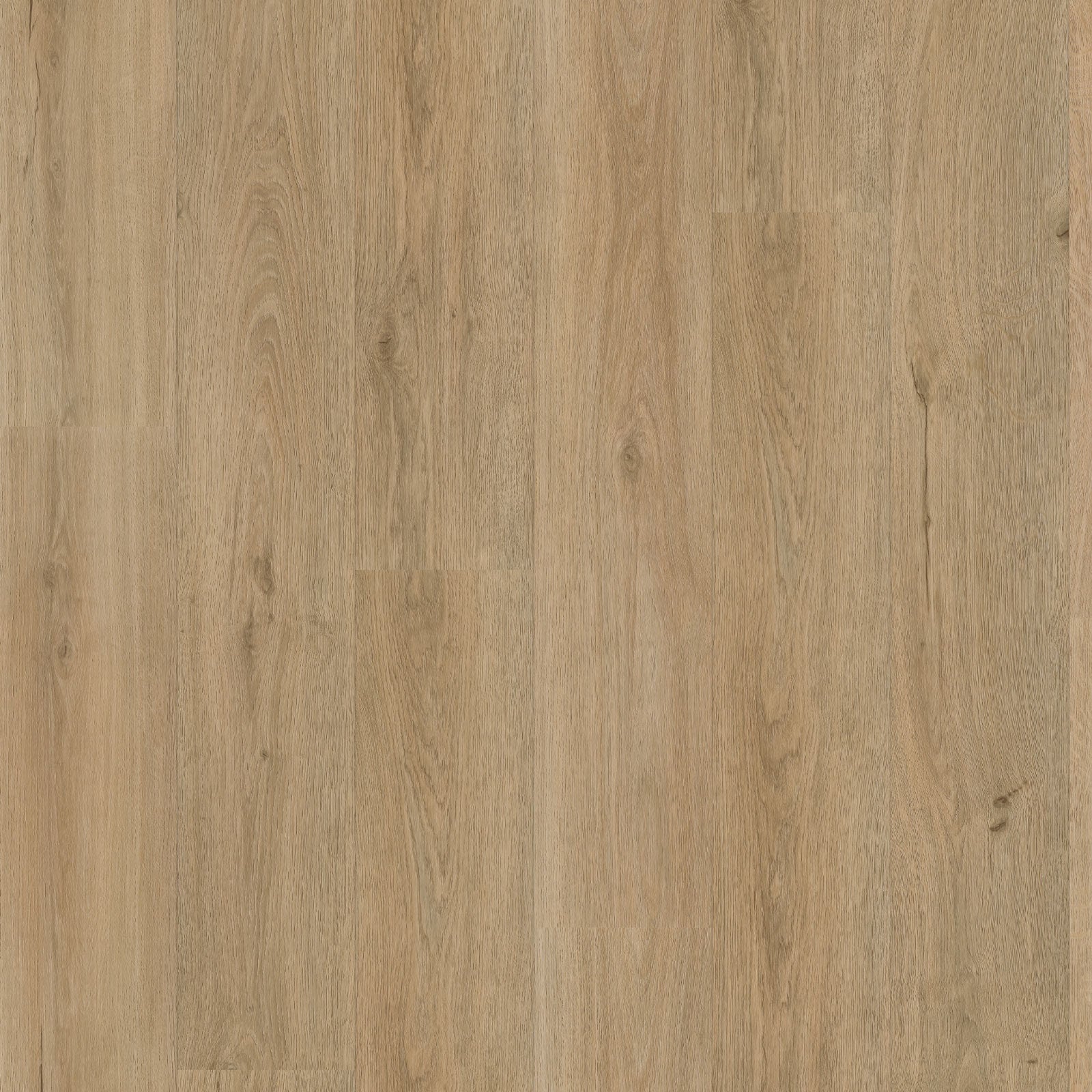 Eiken 7240 Click