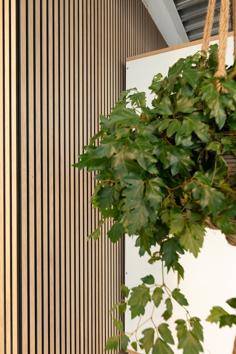 Floer Akupanel XL Wandpanelen - Onbehandeld Eiken