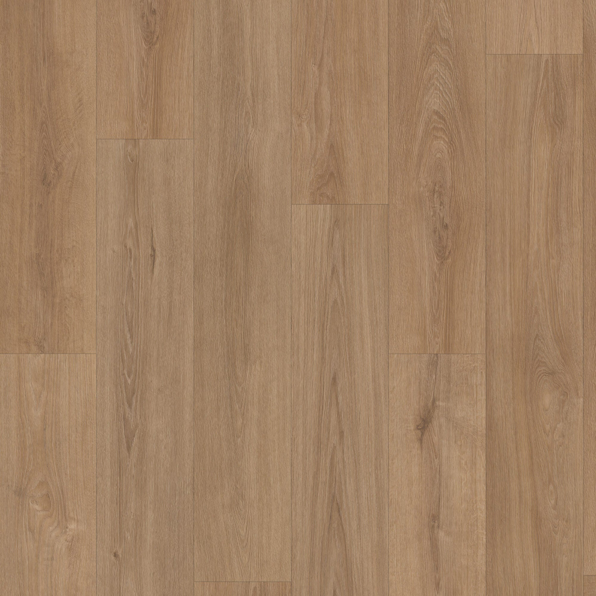 Eiken 9030 Dryback
