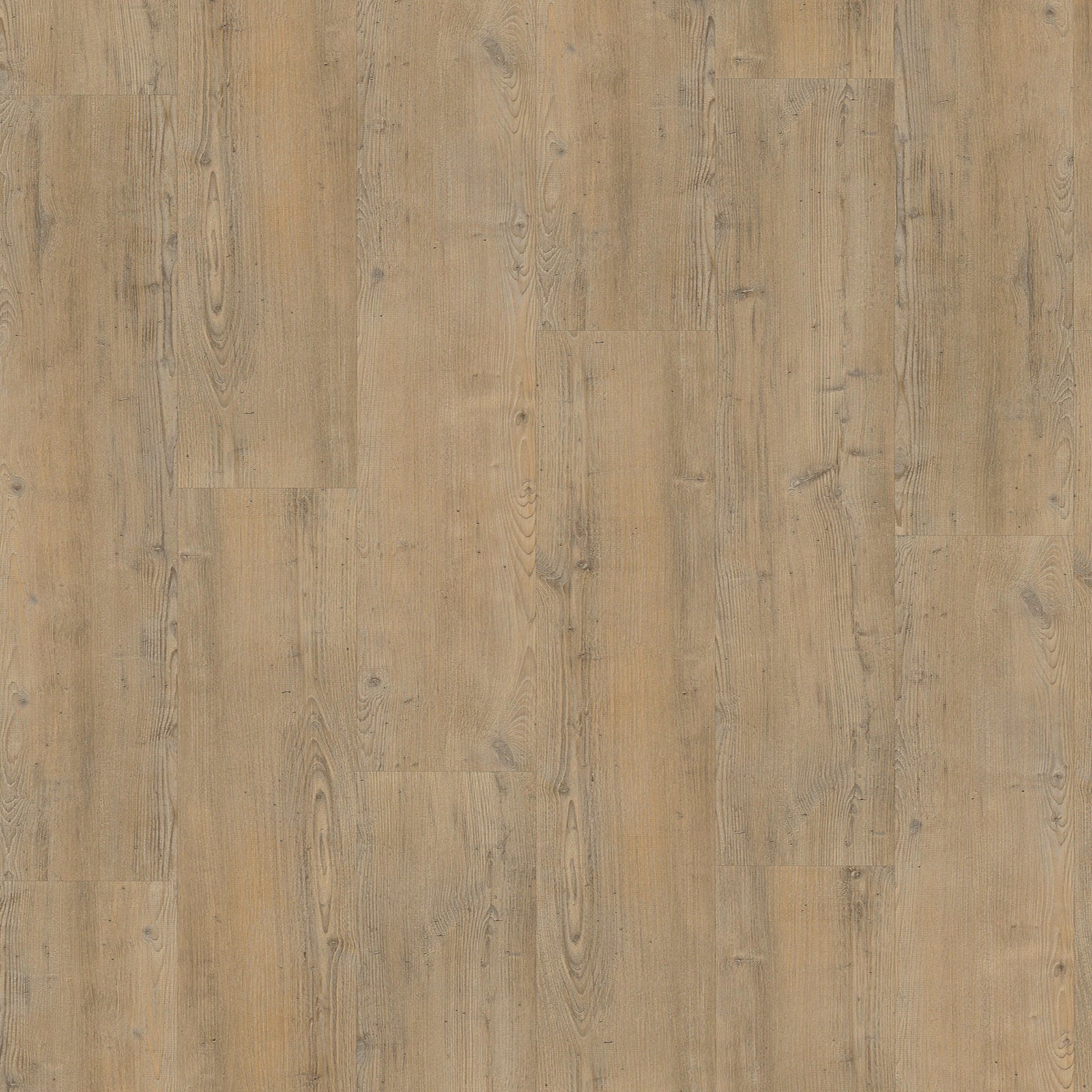 Naaldhout 4203 Dryback