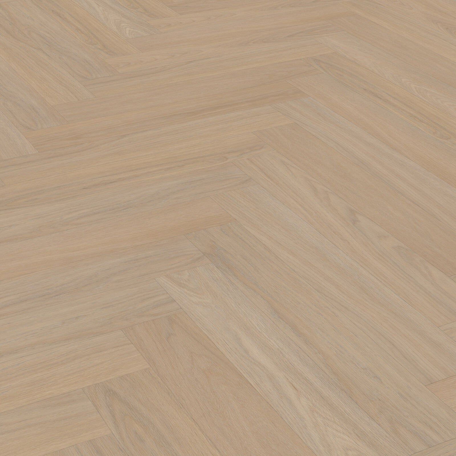 Walvisgraat 7810 Dryback